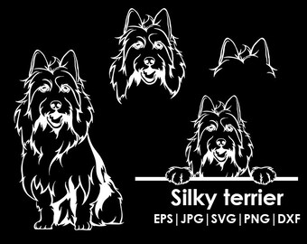 Silky terrier Dog Head, Full body, Peeking, Dog Ear, files Cricut| Clipart| Vector| PNG| dxf | printable| Cricut, Silhouette, svg