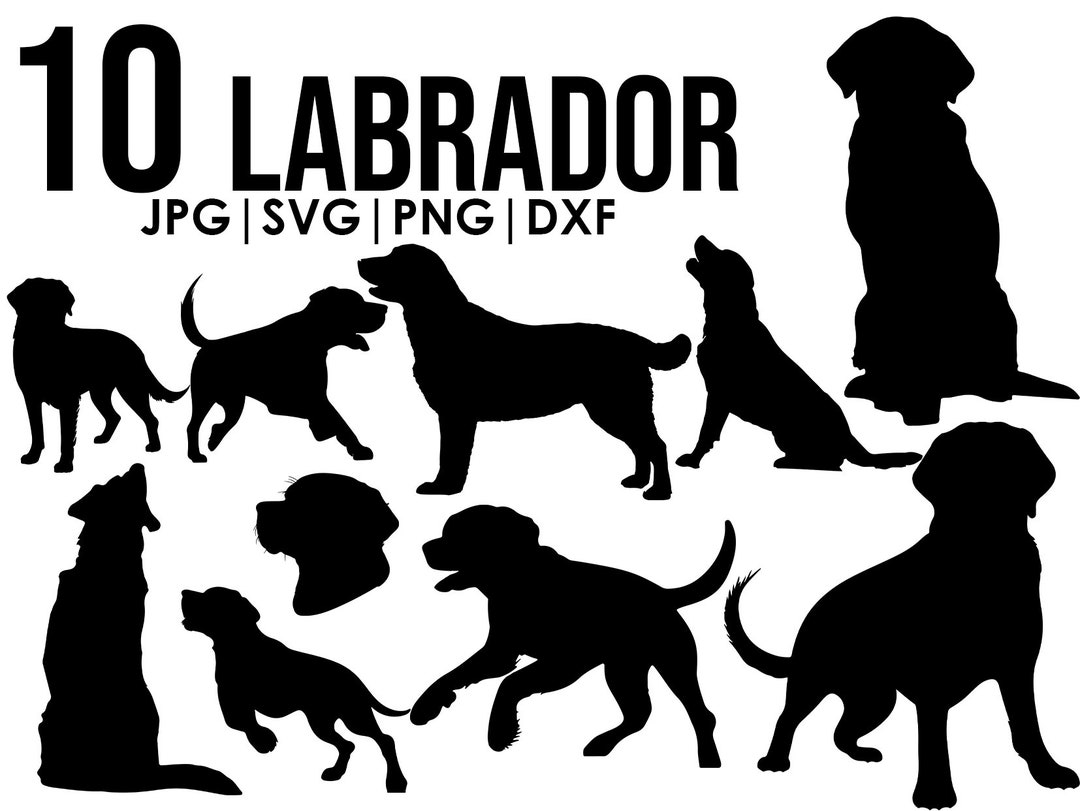 Labrador Silhouette Svg Bundle Dog Svg Files for Cricut Clipart Vector ...