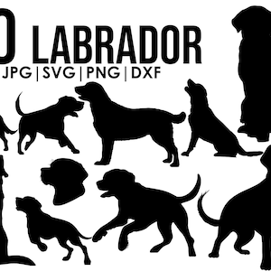 Labrador silhouette svg bundle Dog svg files for Cricut clipart Vector Image DXF Download printable png full body ears silhouette sitting
