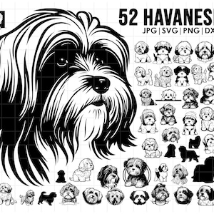 Op de afbeelding: Een digitale zwart-witte illustratie van 52 verschillende poses van een Havanese hond. De tekst "52 Havanese" staat bovenaan de afbeelding. De tekst "JPG | SVG | PNG | DXF" staat onder de titel.