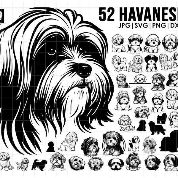 52-Havaneser Hund svg Bundle| svg, Cricut| Spähender Hund Clipart | Vektor Bild DXF Download | druckbar| png| Ganzkörper Ohren