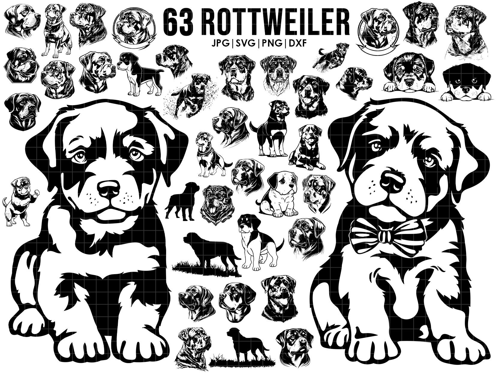 63 Rottweiler dog svg bundle| svg, Cricut| Peeking dog clipart| Vector Image DXF Download| printable| png| full body ears