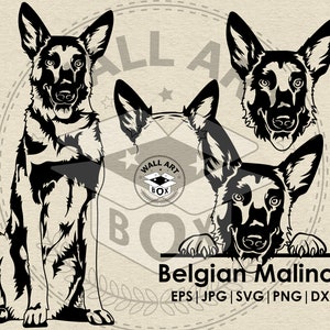 May include: Black and white silhouette of a Belgian Malinois dog in three different poses. The dog is sitting, looking forward, and peeking over a sign that reads "Belgian Malinois". The text below the sign reads "EPS | JPG | SVG | PNG | DXF".