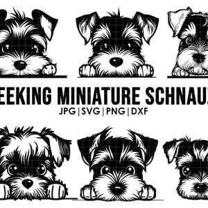 43 Miniature schnauzers Dog Svg Bundle| Svg, Cricut| Peeking Dog ...
