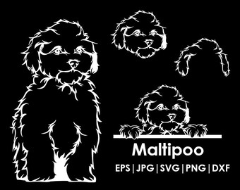 Maltipoo Dog Head, Full body, Peeking, Dog Ear, files Cricut| Clipart| Vector| PNG| dxf | printable| Cricut, Silhouette, svg