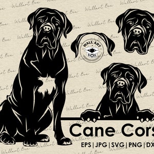 May include: Black and white silhouette illustration of a Cane Corso dog in three different poses. The dog is sitting, standing, and looking over a surface. The text "Cane Corso" and "EPS | JPG | SVG | PNG | DXF" is below the dog.