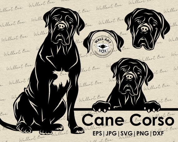 Cane corso svg| dog full body peeking head ears files Cricut| Clipart| Vector|  PNG| dxf| printable| Cricut, Silhouette| Commercial License