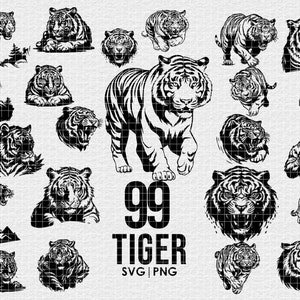Tiger Vector Illustration Bundle, svg png Bundle, Digital Download, for Cricut, Engraving, Prints, wild animal print