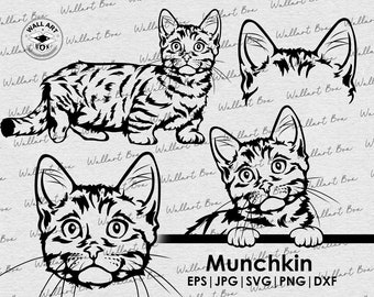Munchkin Cat svg / cat de cuerpo completo asomando orejas archivos Cricut / Clipart / Vector / PNG / dxf / imprimible / Cricut, Silueta / corte por láser