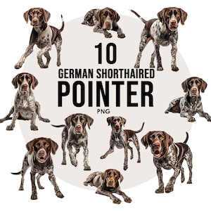 May include: Ten images of German Shorthaired Pointer dogs in various poses. The dogs are brown and white with spotted markings. The text "10 GERMAN SHORTHAIRED POINTER PNG" is in the centre of the image.