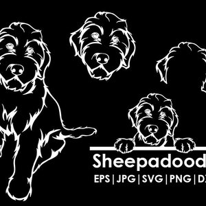 Könnte beinhalten: Eine schwarz-weiße Silhouette eines Sheepadoodle-Hundes in vier verschiedenen Posen. Der Hund sitzt, schaut geradeaus und schaut über eine Oberfläche. Der Text "Sheepadoodle" ist in weißen Buchstaben unter den Bildern geschrieben. Der Text "EPS | JPG | SVG | PNG | DXF" ist in weißen Buchstaben unter dem Text "Sheepadoodle" geschrieben.