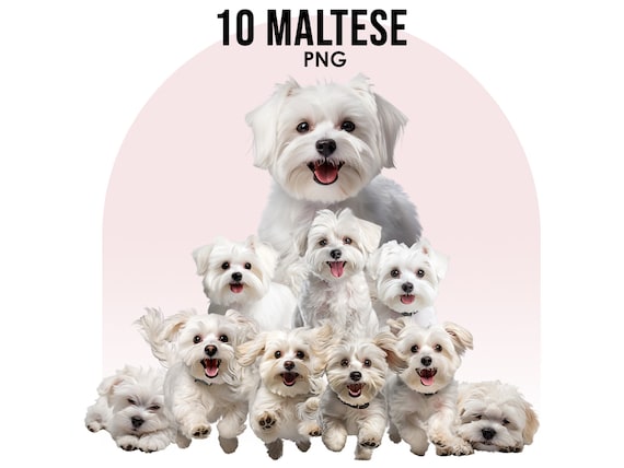 Orecchini A Forma Di Cane Maltese In Argento 925 ONEFINITY – Gioielli Carini Per Amanti Degli Animali, Regalo Donna - 2