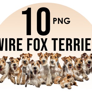 Wire Fox Terrier razze di cani clipart Bundle, disegni di sublimazione del cane, razze di cani PNG, illustrazione digitale di cani carini, stampe di ritratti di cani