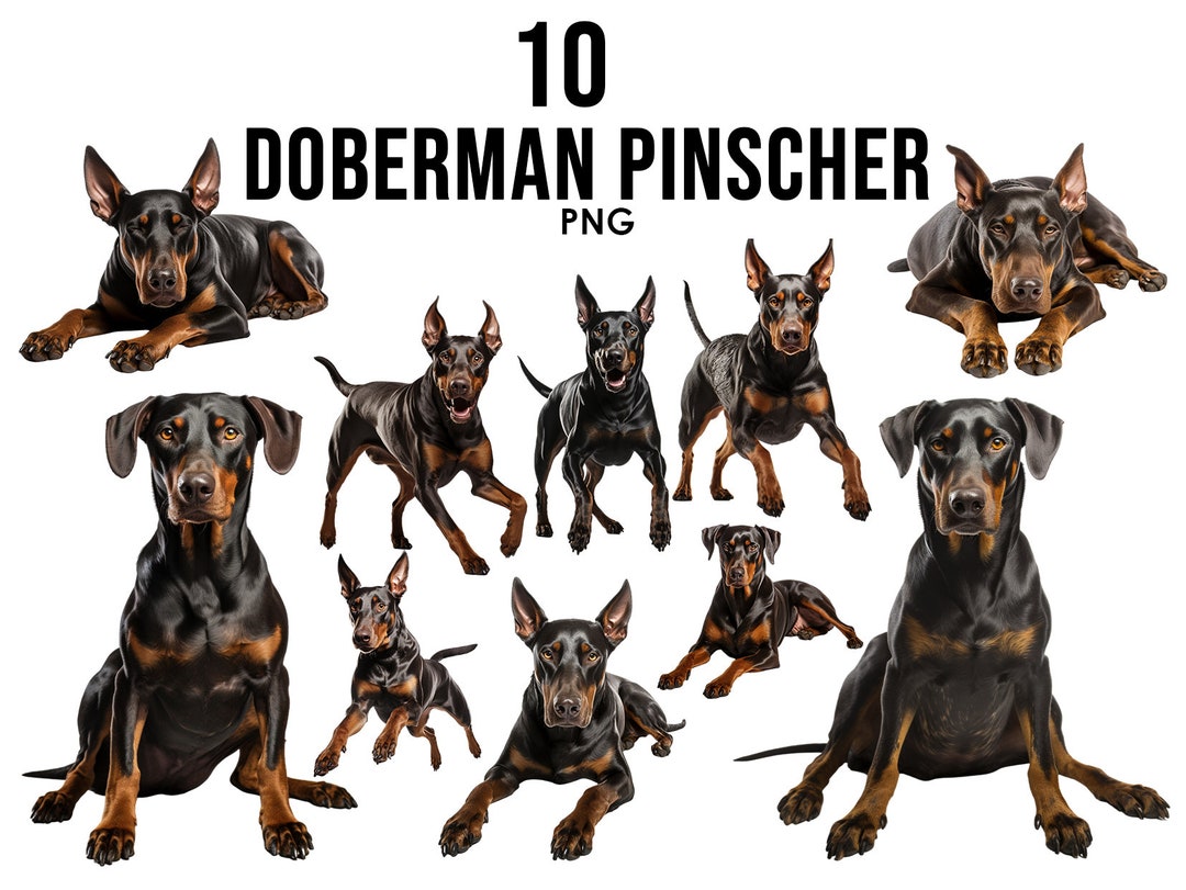 Doberman Pinscher Dog Breeds Clipart Bundle, Dog Sublimation Designs ...