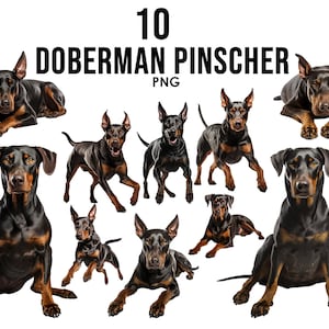 Dobermann Pinscher Hunderassen Clipart Bundle, Hundesublimations-Designs, Hunderassen PNG, süße Hunde digitale Illustration, Hundeporträtdrucke