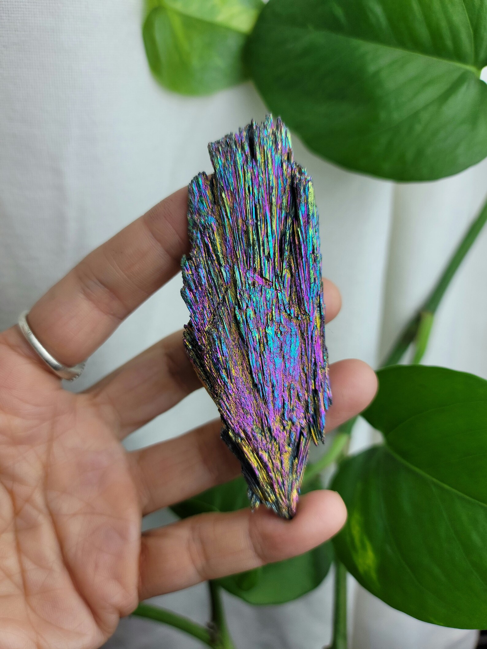 Titanium Rainbow Aura Black Kyanite Etsy