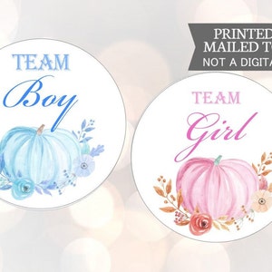 Team Boy Team Girl Gender Reveal Pumpkin Baby Stickers, Fall Gender Reveal Labels, Pink and Blue Pumpkin Gender Reveal Sticker, Team Baby
