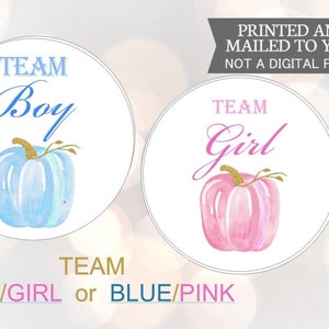 Team Boy Team Girl Gender Reveal Pumpkin Baby Stickers, Fall Gender Reveal Labels, Pink and Blue Pumpkin Gender Reveal Sticker, Team Baby