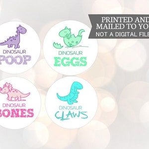 Fiesta de cumpleaños de dinosaurios bebés, Dino Dig, Pegatinas de dinosaurios, Huevos de dinosaurio, Fósiles, Excavación de dinosaurios, Huesos de dinosaurios, CACA, GARRAS, HUESOS