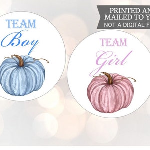 Team Boy Team Girl Gender Reveal Pumpkin Baby Stickers, Fall Gender Reveal Labels, Pink and Blue Pumpkin Gender Reveal Sticker, Team Baby