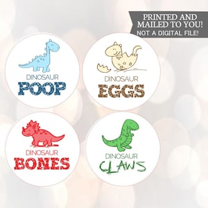 Fiesta de cumpleaños de dinosaurio bebé, excavación de dinosaurios, pegatinas de dinosaurios, huevos de dinosaurio, fósiles, excavación de dinosaurios, huesos de dinosaurios, caca, garras, huesos