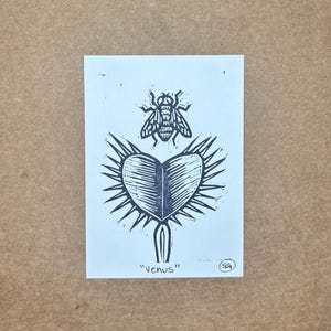 May include: A black and white linocut print on white paper featuring a fly positioned above a Venus flytrap. The word "Venus" is printed in black ink at the bottom left, and a small circular "SG" artist mark is located at the bottom right.