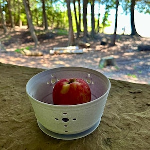 Fruitwaskom