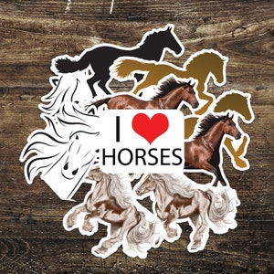 J’adore les chevaux Equestrian Wild Horse Stickers (10 Pack)
