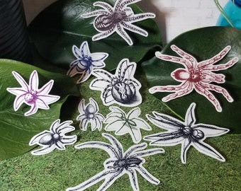 Arañas surtidas multicolor / Pegatinas esmeriladas transparentes (paquete de 14)