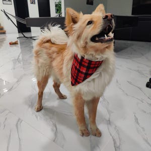 Rood geruite hondenbandana - klassieke geruite sjaal voor huisdieren, verstelbare drukknoop, handgemaakt Arizona