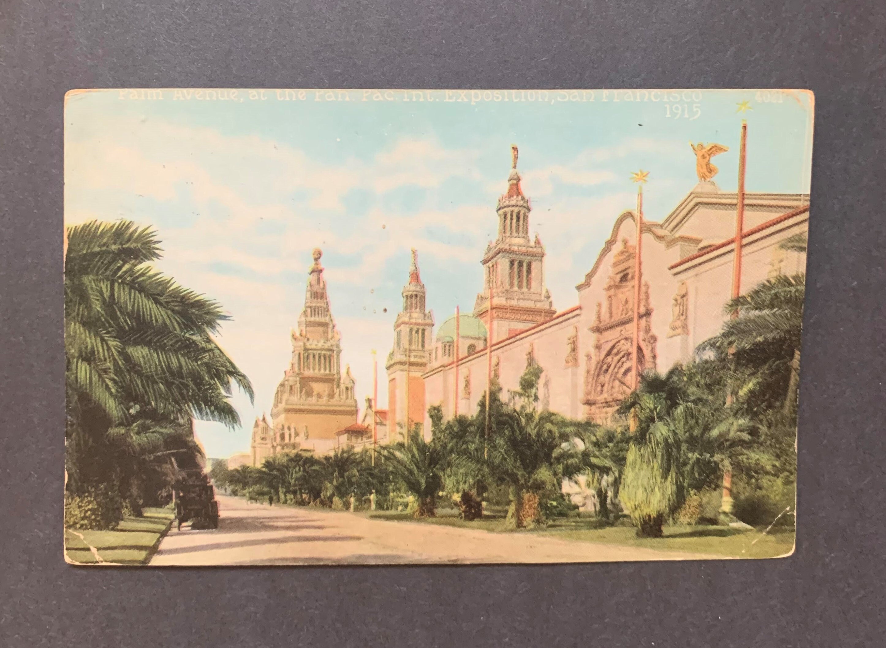 Palm Avenue, at the Pan. Pac. Int. Exposition, San Francisco. Vintage Postcard. 1915