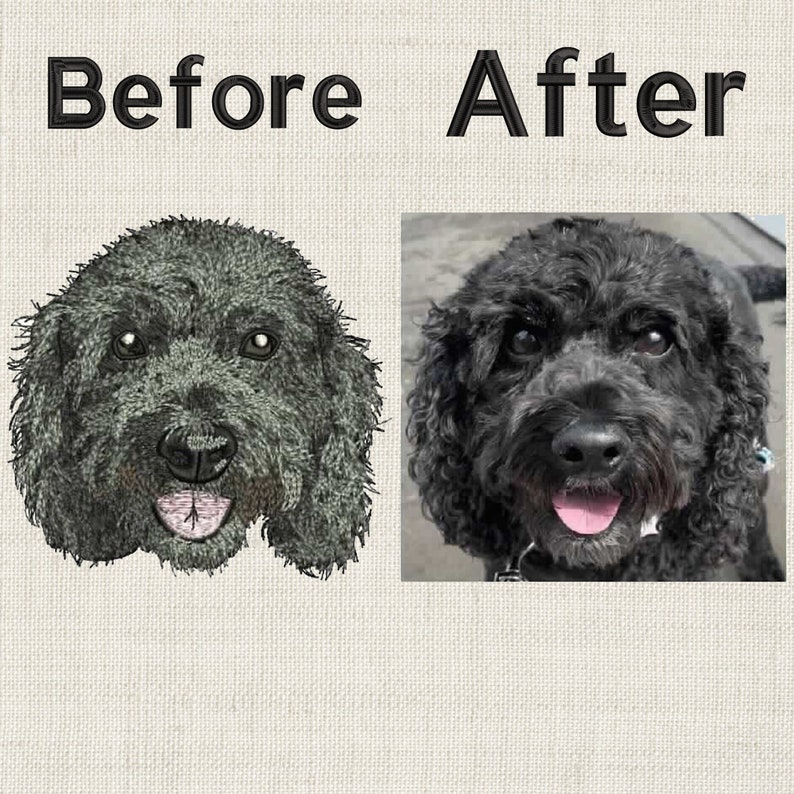 Pode incluir: Imagem antes e depois de um c&atilde;o preto de pelo encaracolado. A imagem &agrave; esquerda &eacute; um desenho do c&atilde;o, e a imagem &agrave; direita &eacute; uma fotografia do c&atilde;o.