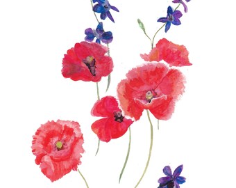 Coral Poppy Flower Watercolor Print