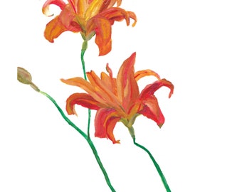 Orange Lily Flower Watercolor Print