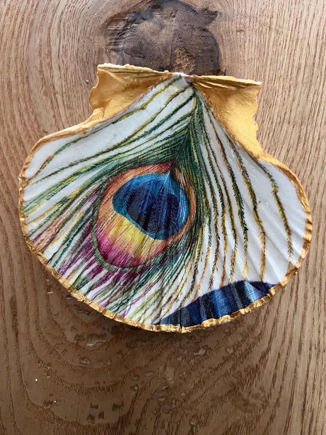 Peacock Inner Shell Hand Decorated Peacock Design Decoupaged Shell Trinket Dish - Etsy