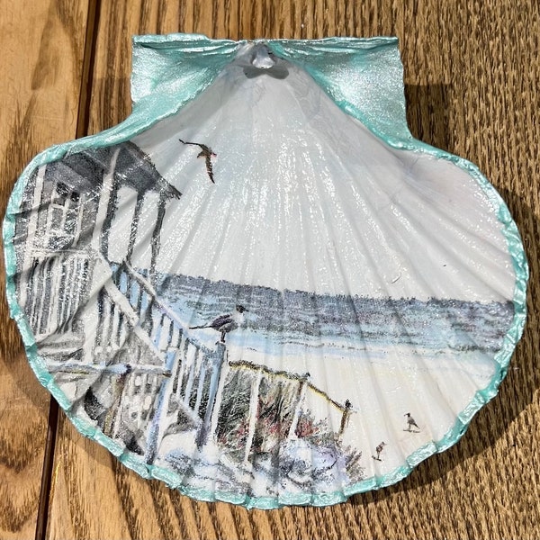 Beach scene shell trinket dish display aqua/silver/gold and pearlised aqua/gold/silver or natural back