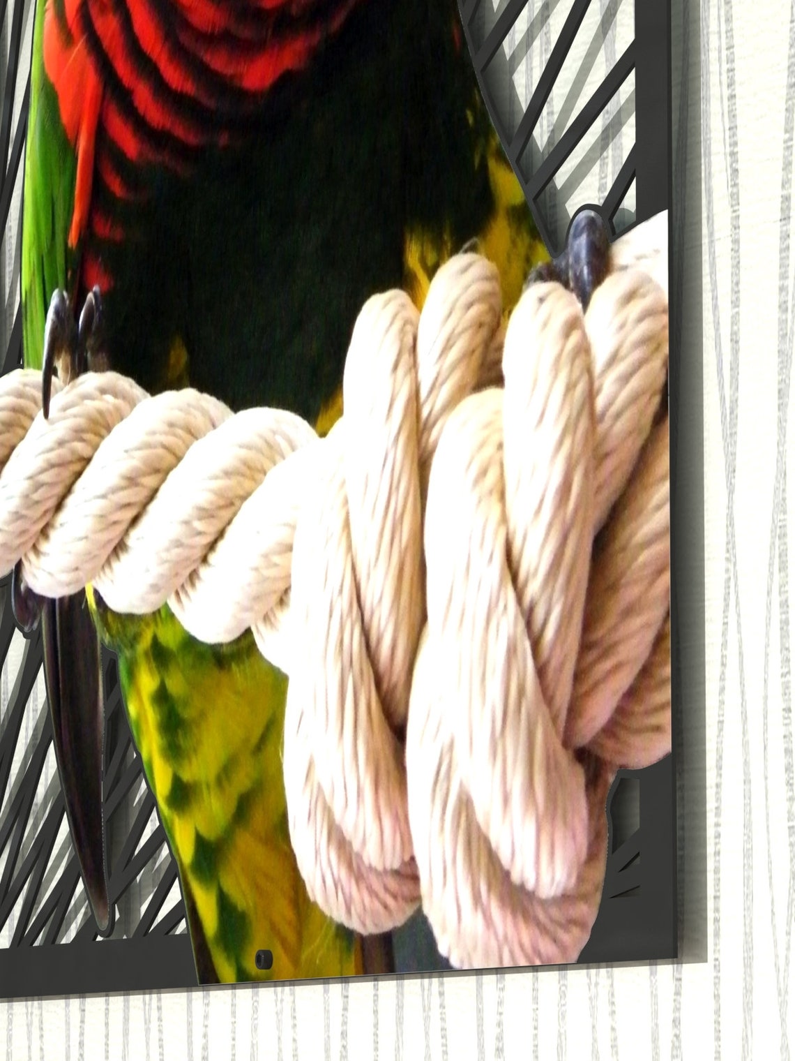 Parrot metal wall art colorful wall decor metal wall art | Etsy