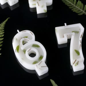 Può includere: Candele numeriche bianche con elementi botanici pressati verdi e marroni. Le candele hanno la forma dei numeri 6 e 7.