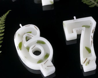 White Beeswax Number Candles with Dried Ferns & Evergreen Needles