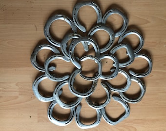 30 horseshoes used