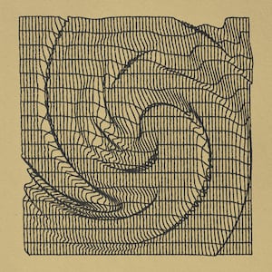 Pode incluir: Uma ilustração abstrata em preto e branco de um padrão espiral tridimensional.