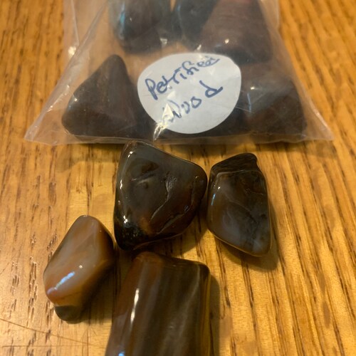 Wyoming Pandanus Petrified Wood Large Slab Etsy