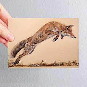 Postkarte Fuchs