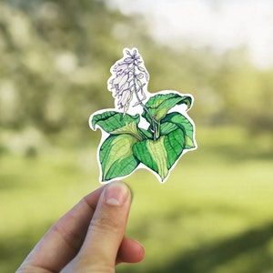 Weiße Hosta Vinyl Aufkleber, Cottage Core Aufkleber für Laptop, Pflanzenmutter Geschenk, Aufkleber für Journal, Wohnheim, Wasserflasche, Becher