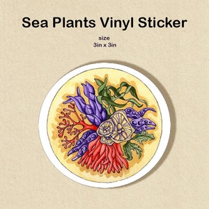 Meer Pflanzen Kunst Vinyl Sticker, Wasserfest Sticker, für Laptop, Strandkamm Kunst Sticker, Küsten Sticker für Journal, Strand Liebhaber Geschenk