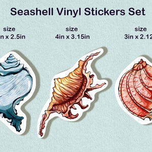 Seashell art Vinyl Sticker pack set of 3, Waterproof Sticker, para portátil, beachcomb art sticker, coastal sticker for journal