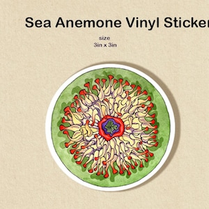 May include: A 3 inch by 3 inch vinyl sticker featuring a colorful illustration of a sea anemone with red, yellow, and green colors.