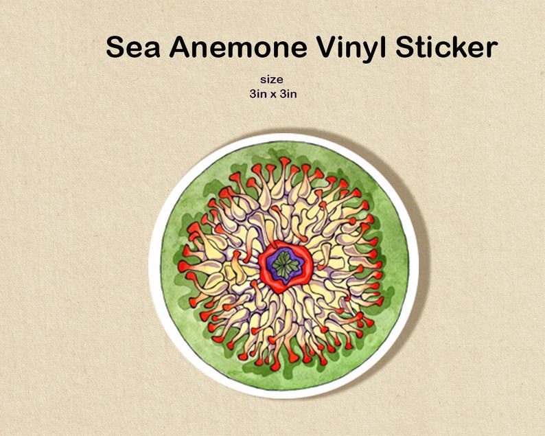 May include: A 3 inch by 3 inch vinyl sticker featuring a colorful illustration of a sea anemone with red, yellow, and green colors.