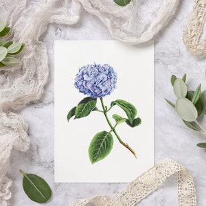 Cartão de flores em aquarela, cartões de aniversário botânicos para ela, cartões florais com envelopes, presentes de jardineiro para mulheres, pensando