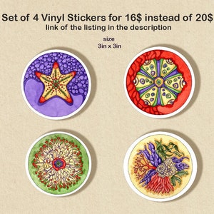 May include: Set of four 3 inch vinyl stickers featuring colorful illustrations of a starfish, a sea anemone, a coral reef, and a sea urchin.